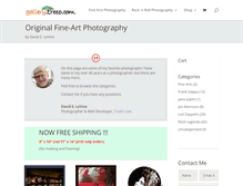Tablet Screenshot of gallery.treeo.com